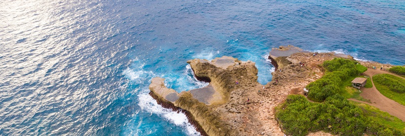 海洋生態預警監測